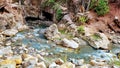 Serene River Flow through Ouray Canyon with Green Vegetation