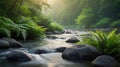 Lush Green Forest River Flowing over Rocks with Ferns in Peaceful Landscape Royalty Free Stock Photo