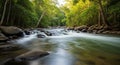 Lush Green Forest River with Smooth Water Flowing Over Rocks and Sunlight Filtering Through Trees Royalty Free Stock Photo