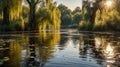 Serene Willow Trees Reflecting in Calm Lake Water at Golden Hour Sunlight Royalty Free Stock Photo