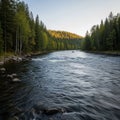 A serene river scene with clear flowing water bordered by a lush forest Royalty Free Stock Photo