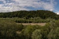 Serene Riverbed Flanked by Lush Forest Canopy