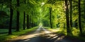 A serene road passing through a lush green forest, dappled with sunlight.