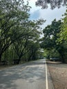 Serene Road Surrounded By Lush Green Trees Under A Partly Cloudy Sky Royalty Free Stock Photo