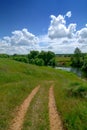 Serene rural landscape