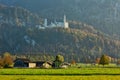 Serene rural landscape with cow sheds in the meadow with the view to Neuschwanstein castle in Bavaria