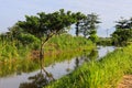 A Serene Rural Landscape of Farms