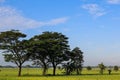 A Serene Rural Landscape of Farms