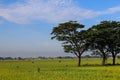 A Serene Rural Landscape of Farms