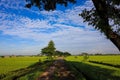 A Serene Rural Landscape of Farms