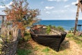 Serene rustic scenic blue sky summer landscape of wooden peasant boat, red berry tree and Black Sea on background in Ataman ethnic