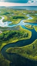 Serene salt marshes teeming with wildlife