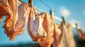 A serene scene of clothes drying on a clothes line, swaying gently in the breeze under the sun Royalty Free Stock Photo