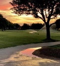 Golf course sunrise, orange water puddle Royalty Free Stock Photo