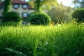 Serene scene green grass provides a natural frame for building Royalty Free Stock Photo