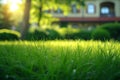 Serene scene green grass provides a natural frame for building Royalty Free Stock Photo
