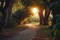 A serene scene of sunlight shining through the trees on a winding forest path Royalty Free Stock Photo