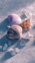 Serene Seashore Still Life with Shells and Sand in Pastel Tones Royalty Free Stock Photo