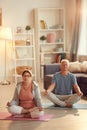 Serene senior couple meditating with closed eyes Royalty Free Stock Photo