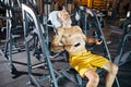 Professional athlete building muscles on an exercise machine