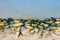 Serene shoreline with rocks and algae in clear blue water Royalty Free Stock Photo