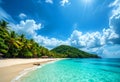 Serene Shoreline with Tropical Vibes and Clear Water Royalty Free Stock Photo