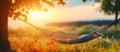 Serene Siesta: A Hammock Swinging in a Sunlit Meadow Royalty Free Stock Photo