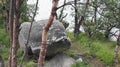 serene silence as in a Japanese rock garden