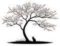 Serene Silhouette of a Blossoming Tree and Cat Royalty Free Stock Photo