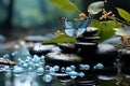 Serene spa scene butterfly rests on zen gardens massage stones Royalty Free Stock Photo