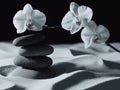 Serene Spa Scene: Flowering Plant, Stones and White Sand Royalty Free Stock Photo
