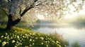 Serene Spring Sunrise: White Blossoms Frame Calm Lake Royalty Free Stock Photo