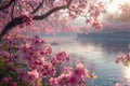 Serene Springtime Scene with Blooming Pink Cherry Blossoms Over Tranquil Lake Waters at Sunrise Royalty Free Stock Photo