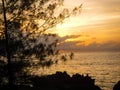 Serene start to the day on the coast of Zanzibar