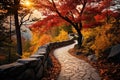 A serene stone path winds through the woods, guiding to a majestic forest filled with lush trees, Vibrant autumn foliage covering
