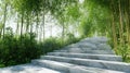 Serene Stone Steps in a Bamboo Forest: A Path to Tranquility Royalty Free Stock Photo