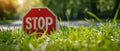 Serene Stop: A View of a Stop Sign Against a Grassy Background