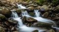 A serene stream flows through a Royalty Free Stock Photo
