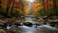 Gentle stream flowing over mossy rocks in autumn forest with vibrant orange yellow and red foliage Royalty Free Stock Photo