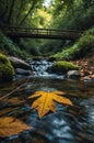 Serene Autumn Stream with Fallen Leaf and Wooden Bridge Royalty Free Stock Photo