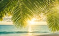 Serene summer beach scene with palm leaves, sand, and sea