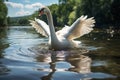 A serene summer day A swans graceful glide on a lake
