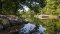 Serene summer lake landscape with reflections of sky and trees