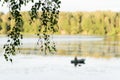 Serene summer landscape on the lake