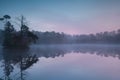 Serene sunrise on forest lake