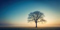 Serene sunrise landscape featuring a single leafless tree in a misty field. Generative AI Royalty Free Stock Photo