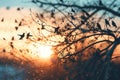 Tranquil Sunset Birds Silhouette, AI Generated