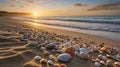 Golden Hour Beach Bliss: Seashells Scattered on Sandy Shore at Sunset Royalty Free Stock Photo