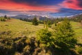 serene sunset over rural field Royalty Free Stock Photo