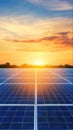Serene sunset over solar farm with rows of glowing solar panels reflecting warm light in a peaceful atmosphere Royalty Free Stock Photo